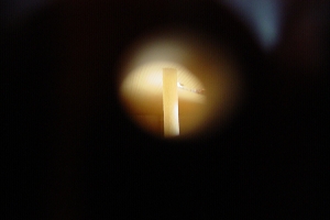 looking through the endpin hole