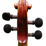 Beautiful Scroll of Studio Violin in Ilja Grawert Brisbane Violin shop