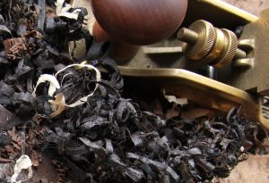 Some wood shavings from planing a violin fingerboard in my Brisbane workshop