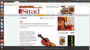 How to deal with a stringed instrument buzz