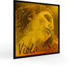 'Evah Pirazzi Gold' Viola strings at grawert viola makers