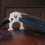 Caprice cello at Ilja Grawert violin maker workshop in Brisbane The Gap and North Queensland Australia