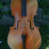 Lupot copy cello amber colour full size at Ilja Grawert violinmaker brisbane 'the gap' 'North Queensland' Australia