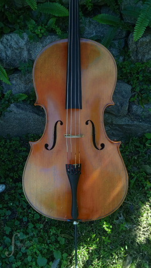 Lupot copy cello amber colour full size at Ilja Grawert violinmaker brisbane 'the gap' 'North Queensland' Australia