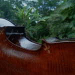Beautiful Balanced cello brown varnish Ilja Grawert violins in Brisbane Australia The Gap and North Queensland