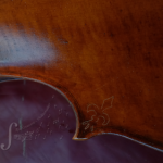 Beautiful Balanced cello brown varnish Ilja Grawert violins in Brisbane Australia The Gap and North Queensland