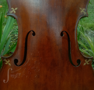 Beautiful Balanced cello brown varnish Ilja Grawert violins in Brisbane Australia The Gap and North Queensland