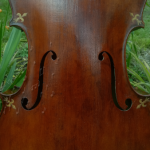 Beautiful Balanced cello brown varnish Ilja Grawert violins in Brisbane Australia The Gap and North Queensland