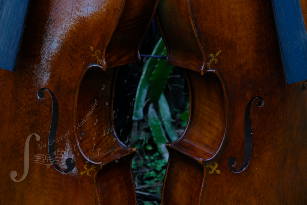 two studio cellos at Ilja Grawert violin shop workshop Brisbane Australia