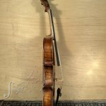 Istvan Nemez 3/4 violin left side view