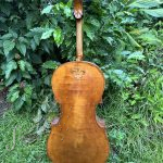 5-string-cello-ilja-grawert-studio-back