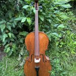 5-string-cello-ilja-grawert-studio-front