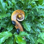 5-string-cello-ilja-grawert-studio-scroll