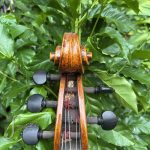5-string-cello-ilja-grawert-studio-scroll-front