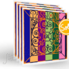 Passione solo violin strings